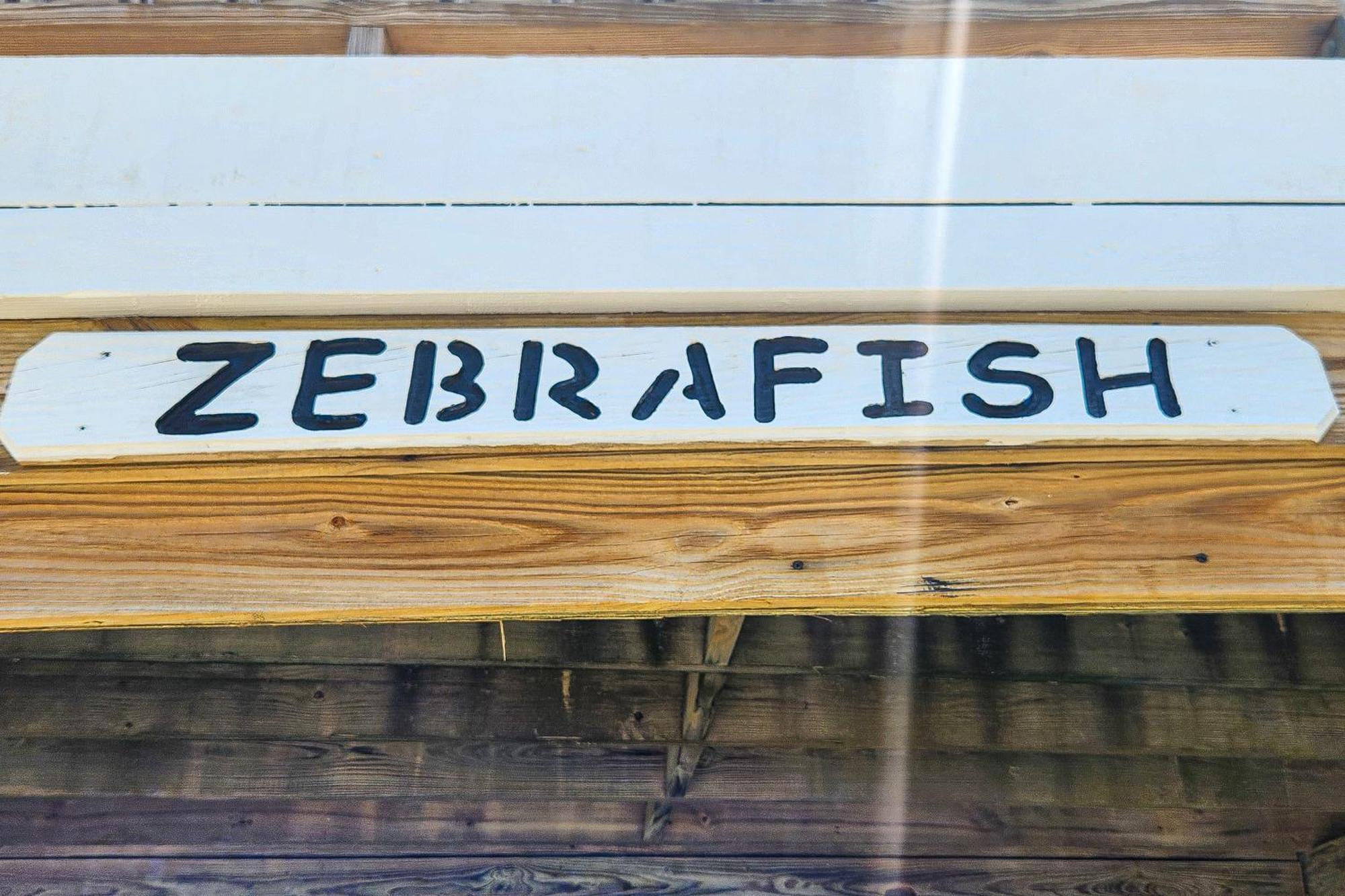 Yellowfin & Zebrafish Buxton Quarto foto